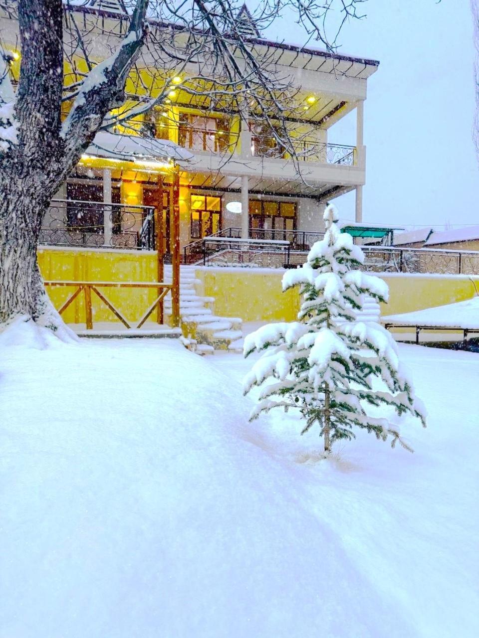 Зона Отдых Apachi В Горах Чимган Hotel Eksteriør billede